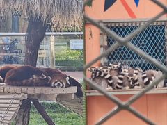 -水上乐园·欢乐世界