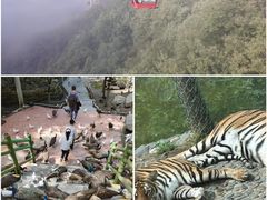 -栾川竹海野生动物园