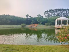 -迪茵湖田家舍生态农场