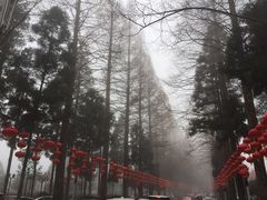 -井冈山风景名胜区