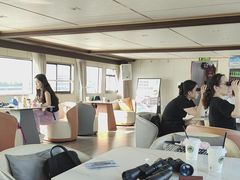 -鸭绿江中朝界河游船(1号观光码头)