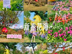 -云溪植物园