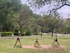 -神光山国家森林公园