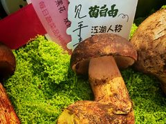 -菌自由丨野生菌火锅特色庭院餐厅(丽江古城店)