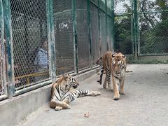 -上海野生动物园