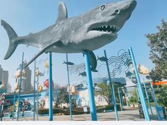 -海合安武汉极地海洋公园