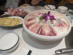 -脆鱼家·中山脆肉鲩鱼火锅(石龙仔店)