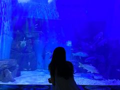 -上海长江河口科技馆