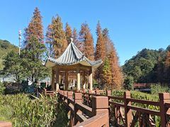 -广州市石门国家森林公园