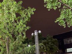 -连杏双皮奶(长沙国金店)