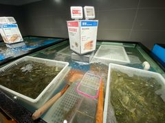 斑节虾-盒马鲜生(馥邦国际店)