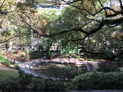 -香港大学