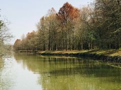 -上海海湾国家森林公园