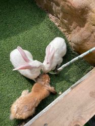 -可可天空农场(中大店)