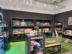 -FAIRYLAND龙族星球主题餐厅(凯丹广场店)