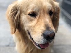 -溪口-滕头旅游景区