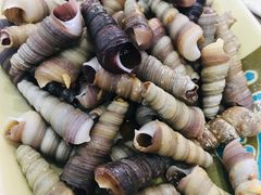 -贞姨美食·老字号海鲜大排档