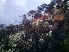 -苍山感通索道
