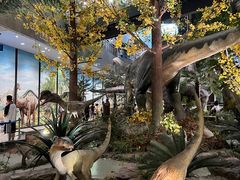 -湖南省地质博物馆