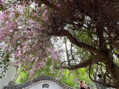 -深圳国际园林花卉博览园