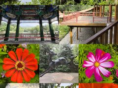 -北宫国家森林公园