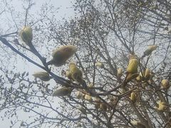 -睦南公园