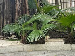 -晓港公园