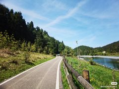 -武陵山森林公园