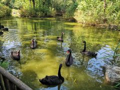 -济南野生动物世界