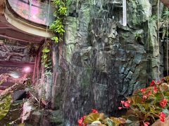 -正佳雨林生态植物园