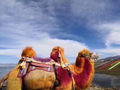 -青海湖国家重点风景名胜区