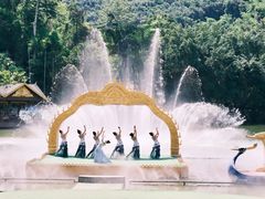 -西双版纳原始森林公园