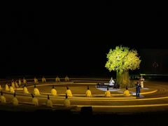 -鼎盛王朝康熙大典实景演出