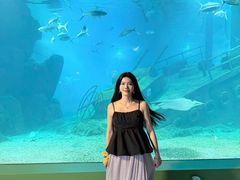 -福州罗源湾海洋世界旅游区
