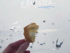 -栈桥景区