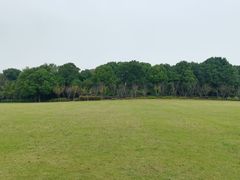 -昆山城市生态森林公园