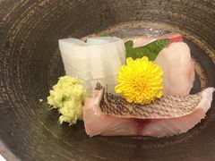 刺身-鮨鳳
