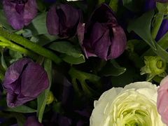 -循礼门鲜花花市(武汉循礼门店)