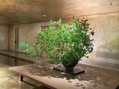 -隐溪茶馆(静安寺店)