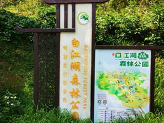 -广州白江湖森林公园