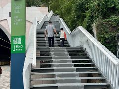 -福道