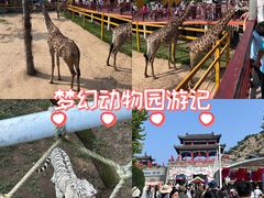 -西霞口神雕山野生动物世界