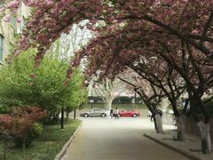 -西安交通大学(雁塔校区)