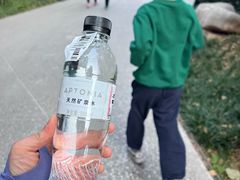 -迪卡侬(鲁泰大道店)
