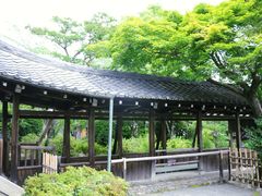 -天龙寺