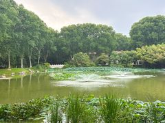 -河南省黄河迎宾馆