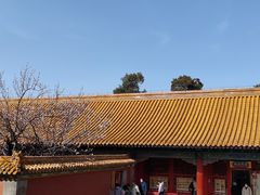 -颐和园