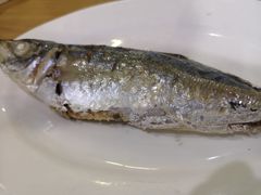 巴浪鱼饭-长平肥姐白粥·海鲜打冷