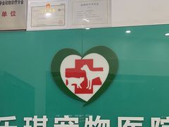 -乐琪宠物医院·犬猫专科·骨外科·急重症