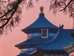 -天坛公园